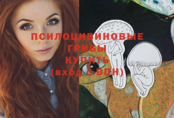 spice Беломорск